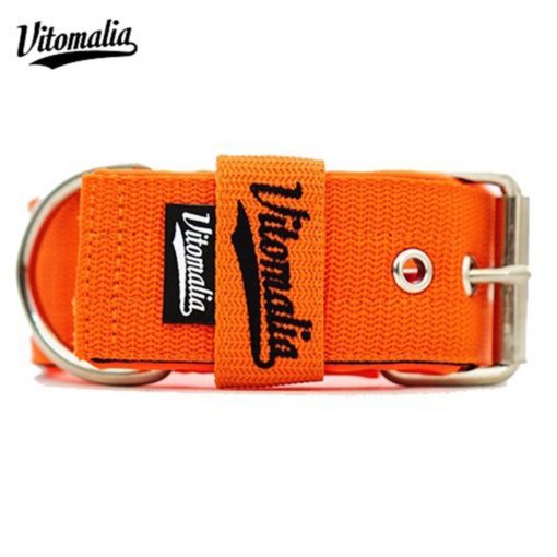 Vitomalia Hundehalsband Basic Edition Orange