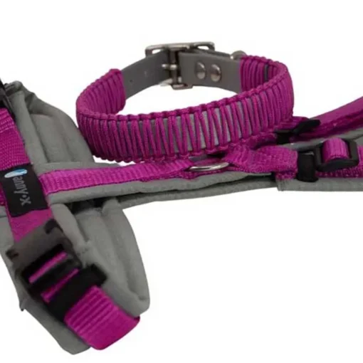 AnnyX Geschirr mit Biothane Paracord Halsband grau pink