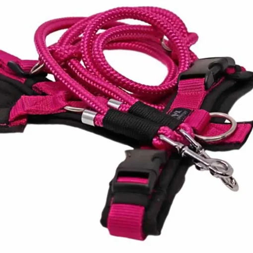 AnnyX Geschirr mit Tauleine pink schwarz