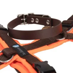 Biothane Halsband braun mit AnnyX Geschirr leuchtorange