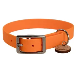 Biothane Halsband orange 1