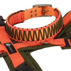 Biothane-Paracord-Halsband-orange-oliv-zweifarbig-mit-AnnyX-Geschirr