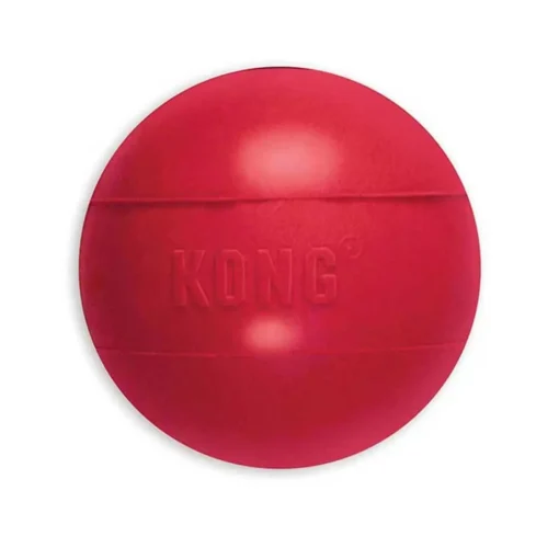 KONG Ball