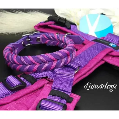 live4dogs Fettleder Halsband veilchen beere