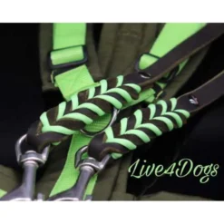 live4dogs Fettlederleine oliv hellgruen