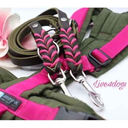 live4dogs Fettlederleine oliv pink