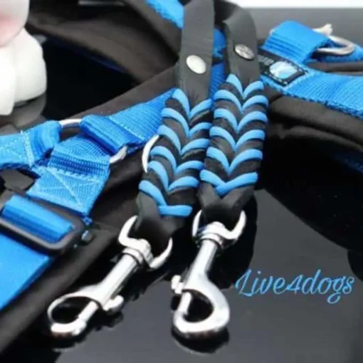 live4dogs Fettlederleine schwarz blau