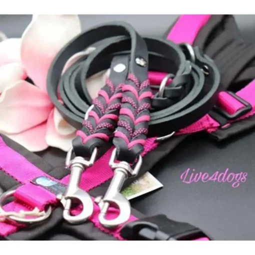 live4dogs Fettlederleine schwarz pink