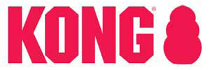 KONG Logo