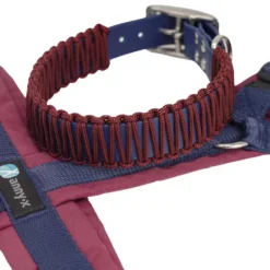 AnnyX-Geschirr-mit-Biothane-Paracord-Halsband-marine-bordeaux