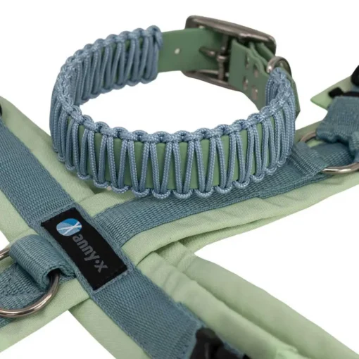 AnnyX-Geschirr-mit-Biothane-Paracord-Halsband-salbei-taubenblau