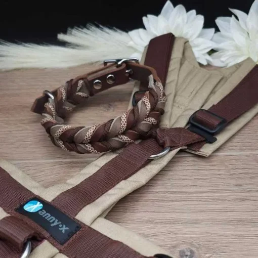 live4dogs Fettleder Halsband Zaubernuss