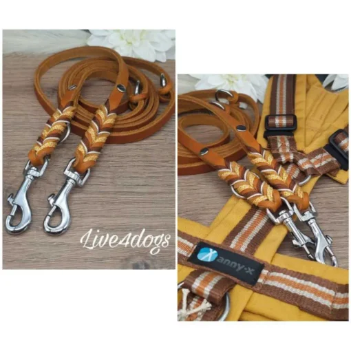 live4dogs-Fettlederleine-Wildblume-Leder-cognac