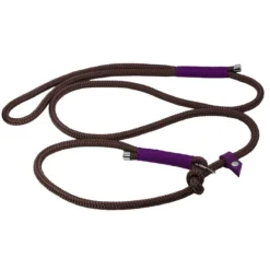 Retrieverleine Braun/Lila